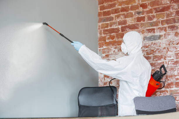 Best Biohazard Mold Removal  in Galena, OH