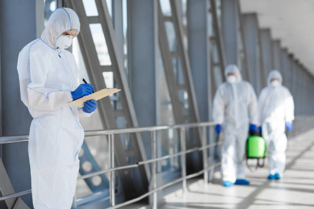 Best Mold Damage Restoration  in Galena, OH