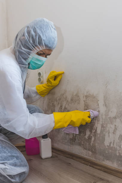 Dehumidification Services in Galena, OH