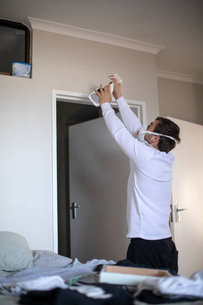 Best Air Quality Testing for Mold Spores  in Galena, OH