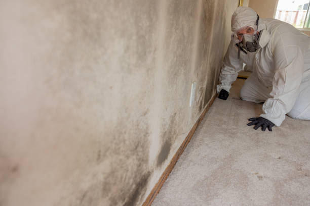 Best Post-Construction Mold Inspection  in Galena, OH