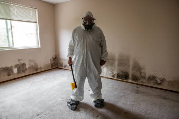 Best Black Mold Removal  in Galena, OH